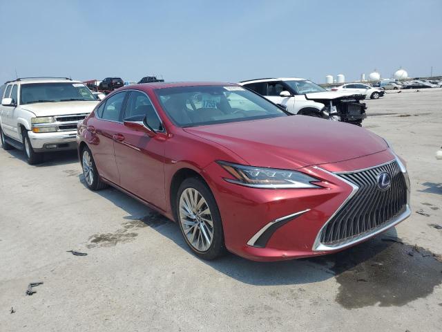2021 LEXUS ES 300H UL 58AFA1C12MU012025