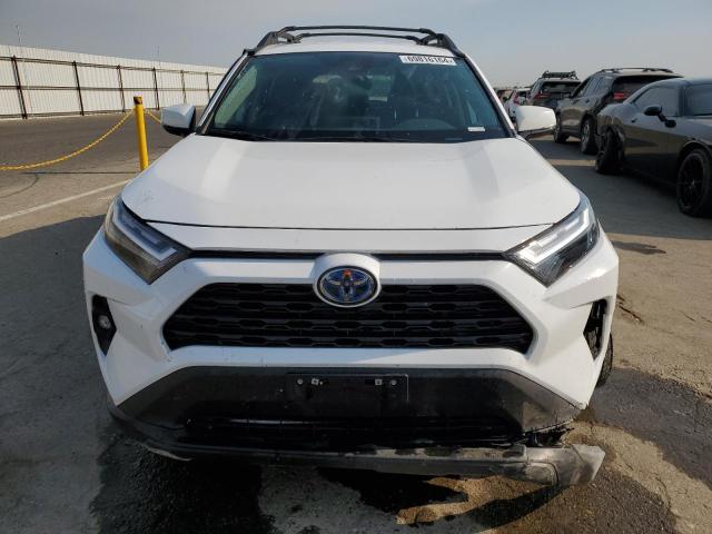 2023 TOYOTA RAV4 WOODL - 2T3UWRFV4PW186056