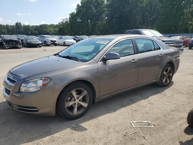 Vin: 1g1zc5eu4bf383070, lot: 75159634, chevrolet malibu 1lt 2011 img_1