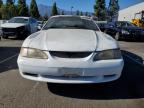 Lot #3033515114 1997 FORD MUSTANG