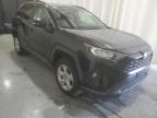 TOYOTA RAV4 XLE photo