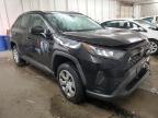 TOYOTA RAV4 LE photo