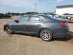 CHEVROLET MALIBU 1LT photo