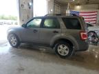 FORD ESCAPE XLT снимка