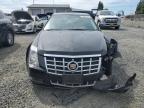 CADILLAC CTS LUXURY photo