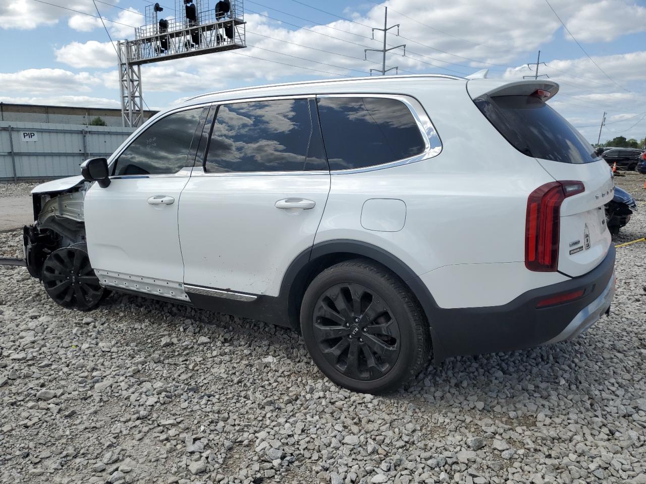 Lot #2976936714 2020 KIA TELLURIDE