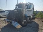 Lot #3025779333 2013 PETERBILT 384