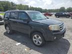 HONDA PILOT EXL photo