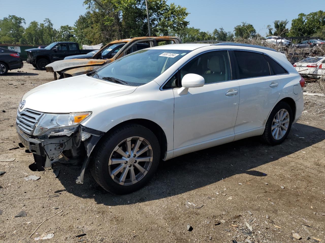 Lot #2919282583 2009 TOYOTA VENZA