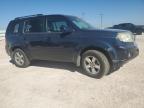 HONDA PILOT EXL photo