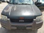 FORD ESCAPE XLT photo