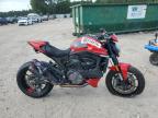 2022 DUCATI MONSTER - ZDMMAMDT4NB006278