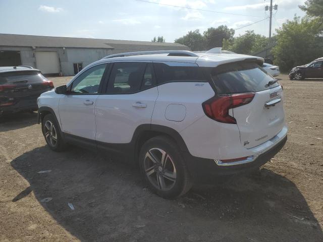 2019 GMC TERRAIN SL - 3GKALPEV6KL293566
