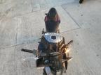 Lot #3024007262 2023 KAWASAKI ZR900 F