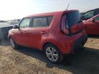 KIA SOUL + photo