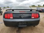 Lot #3030492460 2005 FORD MUSTANG