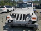 JEEP WRANGLER / photo