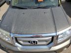 HONDA PILOT EXL photo