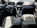 FORD ESCAPE SE photo