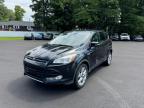 FORD ESCAPE SEL photo