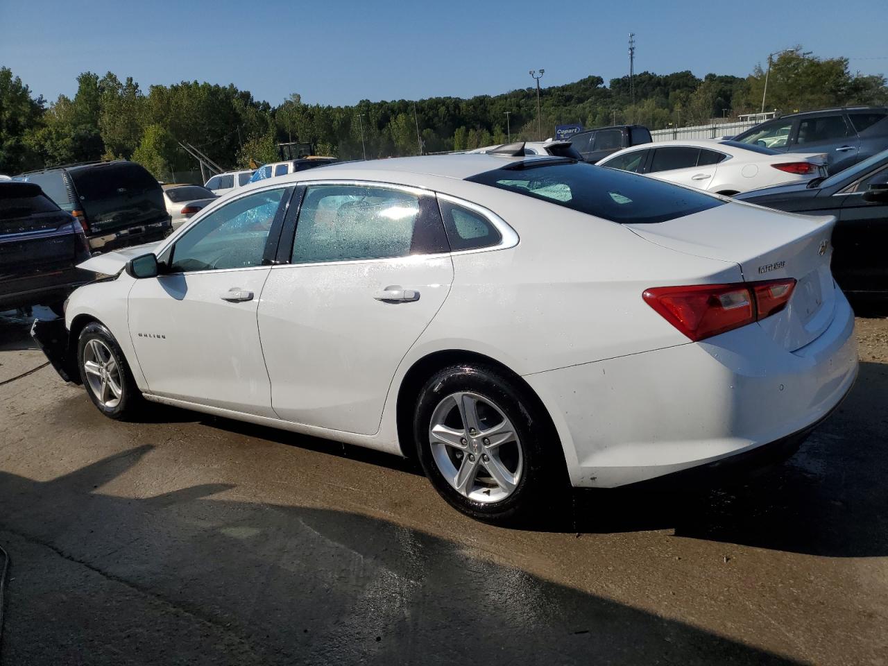 Lot #2974811103 2019 CHEVROLET MALIBU LS