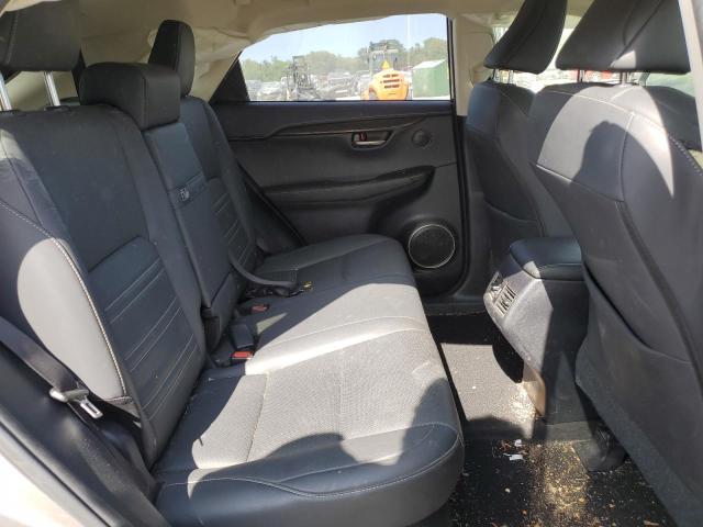 2020 LEXUS NX 300H - JTJDJRDZ5L2146654