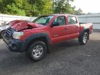 TOYOTA TACOMA DOU photo