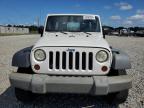 JEEP WRANGLER photo