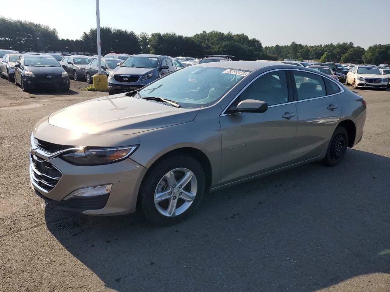 Lot #2744373054 2022 CHEVROLET MALIBU LT