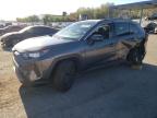 TOYOTA RAV4 LE photo