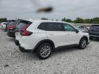 HONDA CR-V EX photo