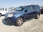 HONDA PILOT EXL photo