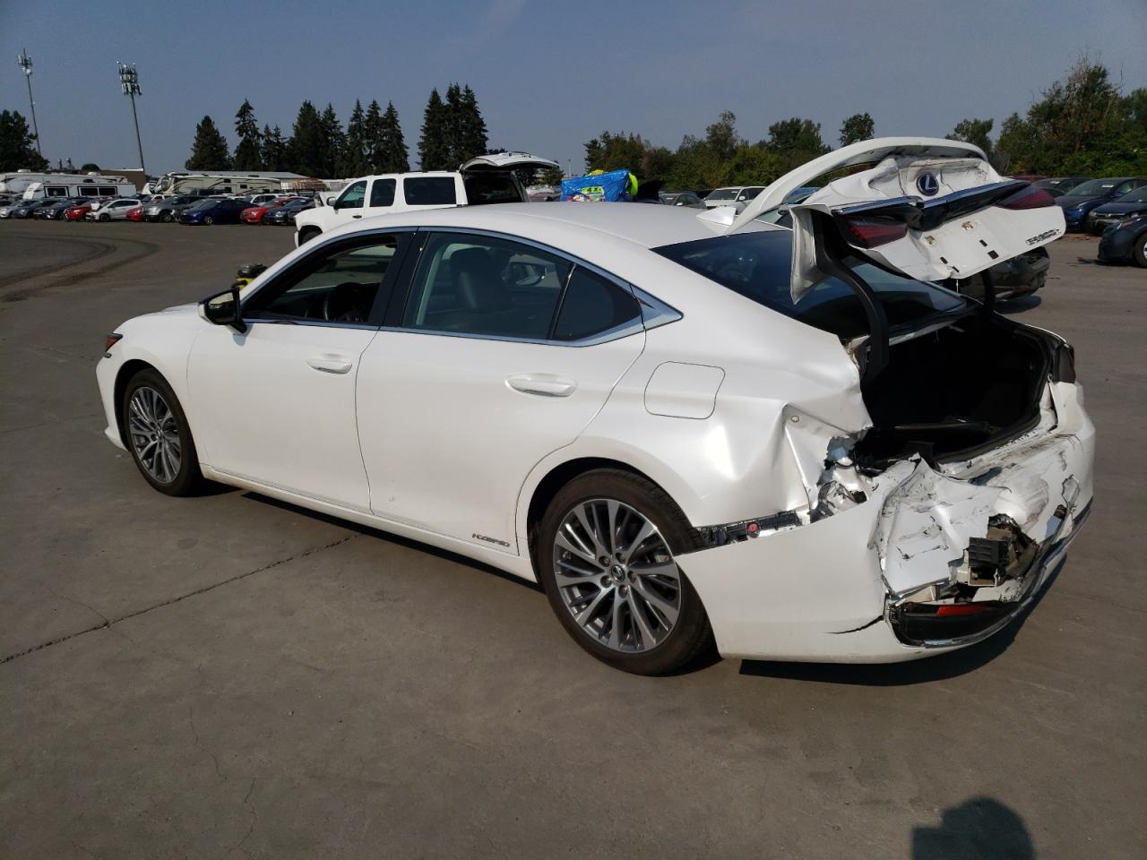 Lot #2893289664 2021 LEXUS ES 300H