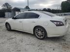 NISSAN MAXIMA S photo