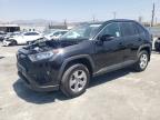 TOYOTA RAV4 XLE photo