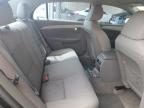 CHEVROLET MALIBU LS photo