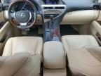 LEXUS RX 350 photo