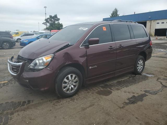 2010 HONDA ODYSSEY EXL 2010