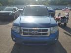 FORD ESCAPE XLT photo