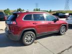 JEEP CHEROKEE L photo