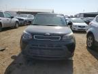 KIA SOUL + photo