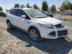 FORD ESCAPE SE photo