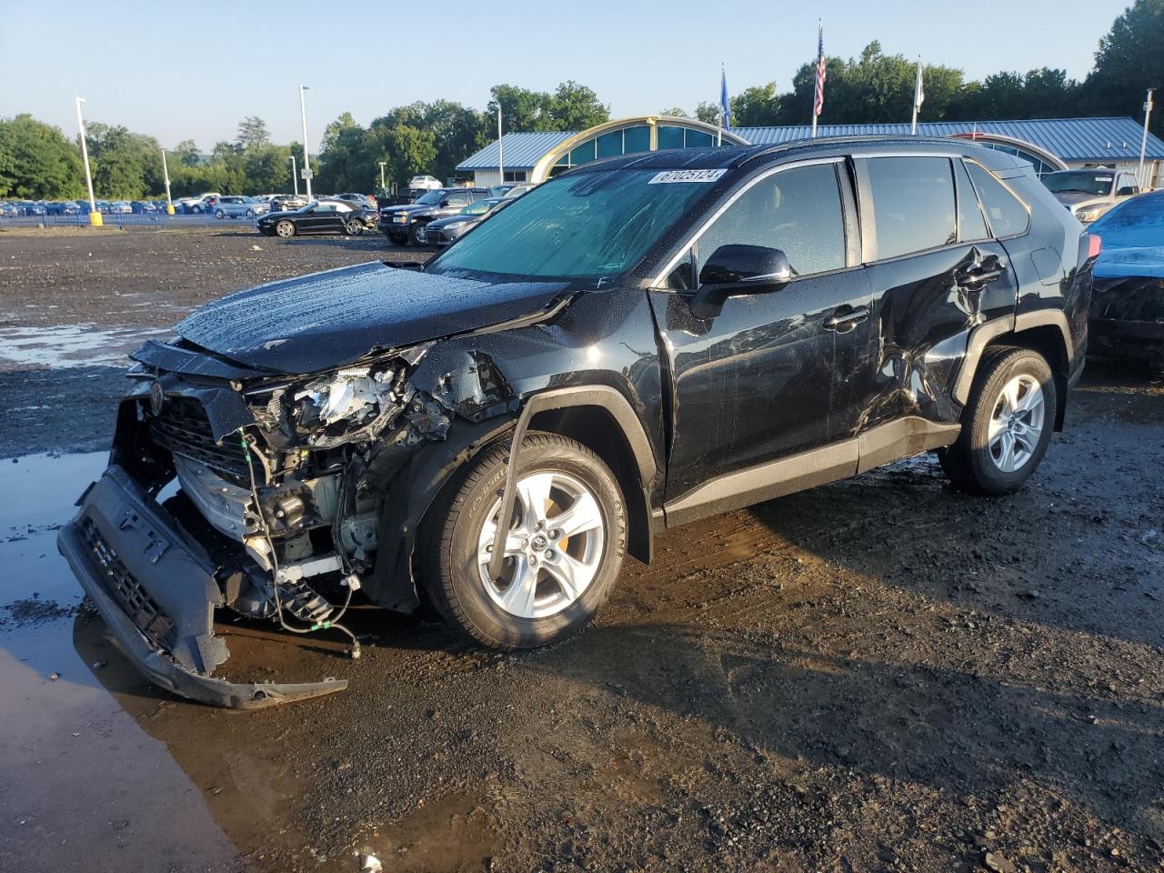 Lot #2886323488 2019 TOYOTA RAV4 XLE