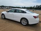 CHEVROLET MALIBU LT photo