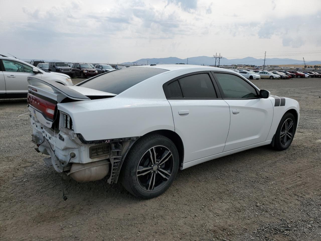 Lot #2806992813 2014 DODGE CHARGER SX