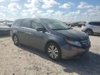 HONDA ODYSSEY EX photo