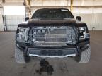 FORD F150 RAPTO photo