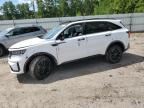 2023 KIA SORENTO SX - 5XYRKDLF4PG241184