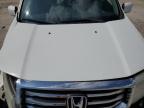 HONDA PILOT EXL photo