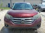 HONDA CR-V EX photo